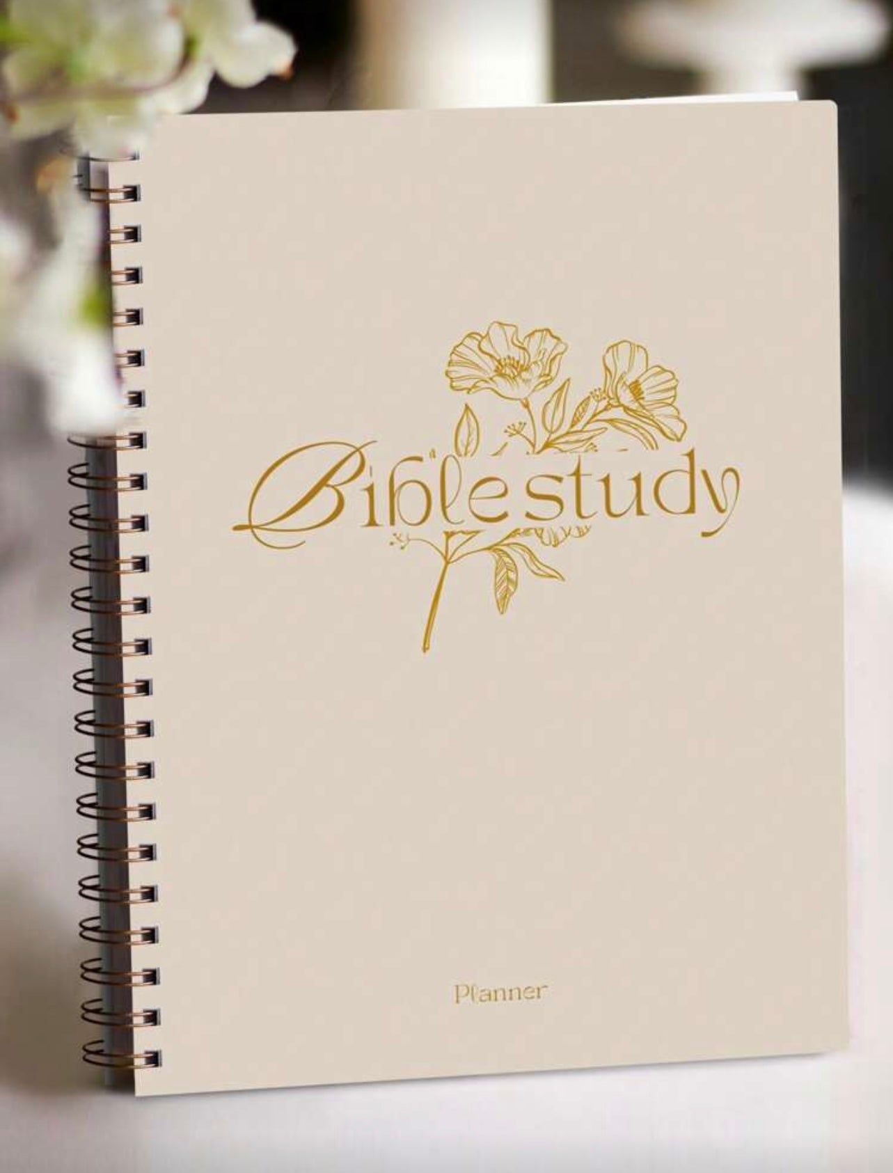 52-Week Bible Study & Prayer Journal